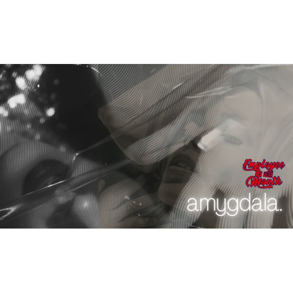 vibes  Website  Thumbnail